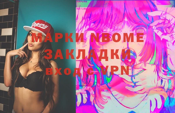твердый Гусев