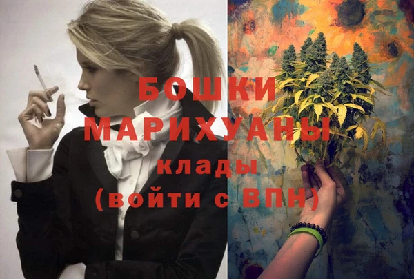 твердый Гусев