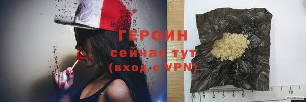твердый Гусев