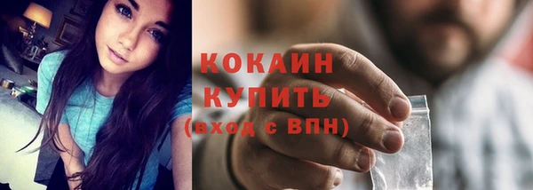 твердый Гусев