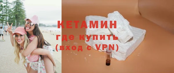 твердый Гусев