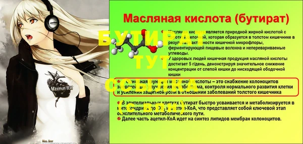 твердый Гусев