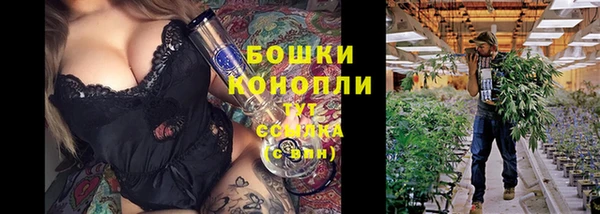 твердый Гусев