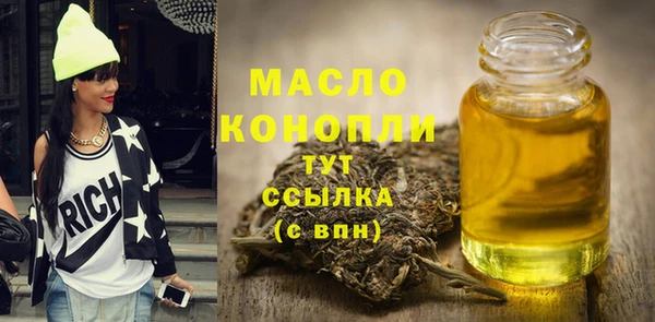 твердый Гусев