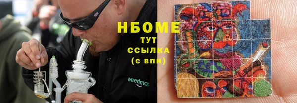 твердый Гусев