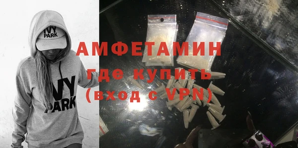 твердый Гусев