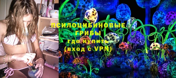твердый Гусев