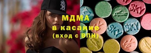 твердый Гусев