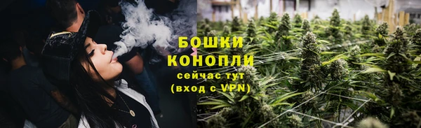 твердый Гусев